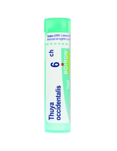 Thuya Occidentalis 6CH - Granuli Tubo per Benessere